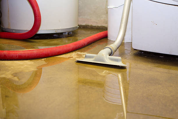 Best Professional water damage repair  in Maryland Heights, MO