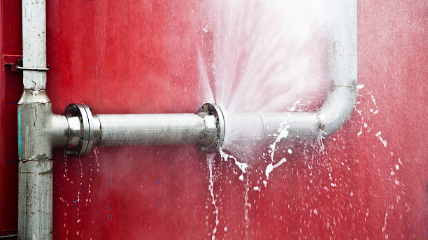 Best Basement water damage restoration  in Maryland Heights, MO